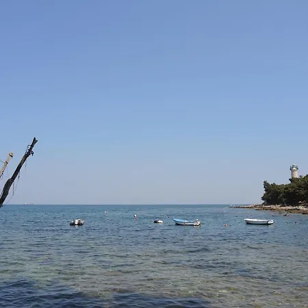 Silvana St * Bašanija
