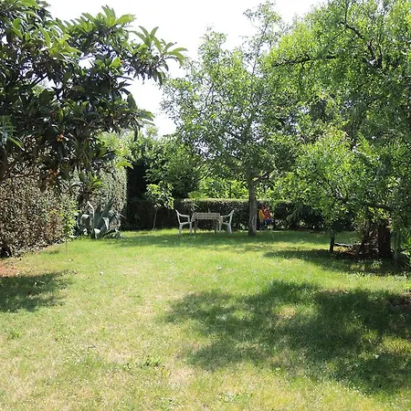 Silvana St