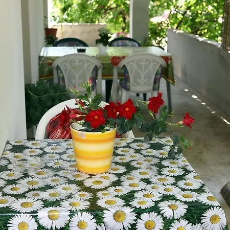 Apartment Silvana St Basanija