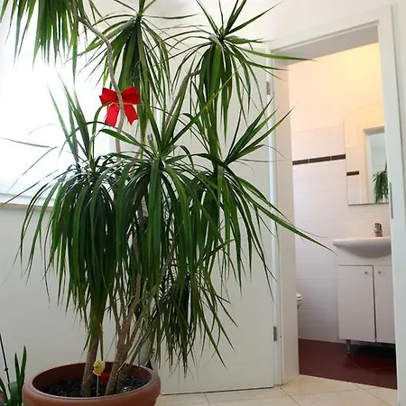 Apartment Silvana St *